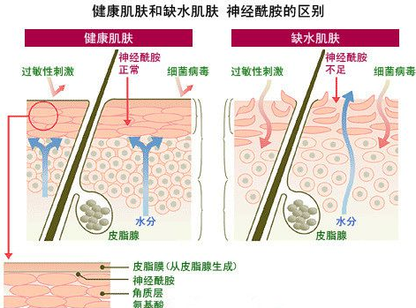 养发馆加盟店怎么才能赚钱